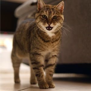 Meet your Posher, Florent